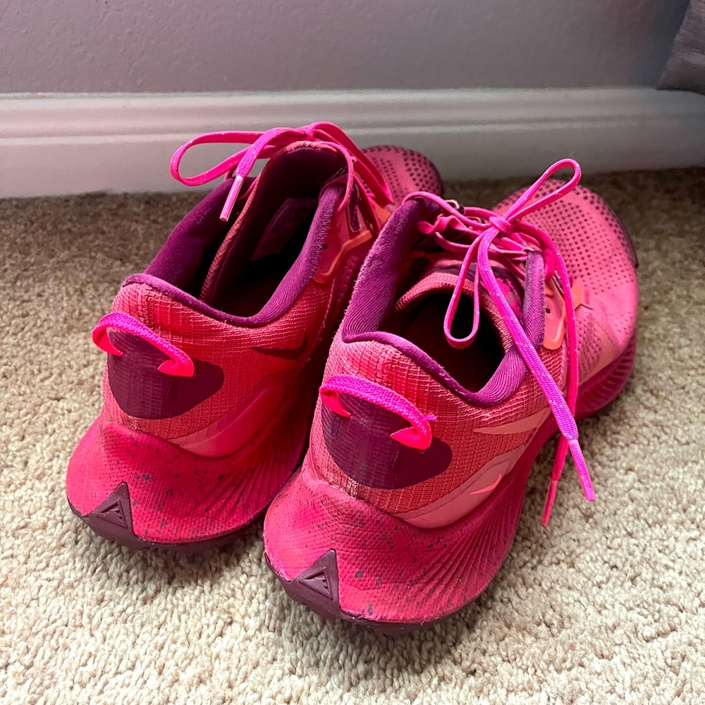 Nike Pegasus